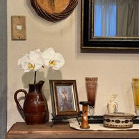 ファレノプシス（胡蝶蘭）,花言葉,花のある暮らし,誕生花,GS映えの画像