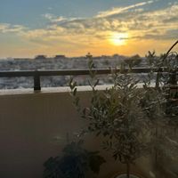 オリーブ,カシワバアジサイ,柏葉アジサイ,セキセイ インコ,秋の風景の画像