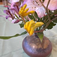 カンガルーポーの画像