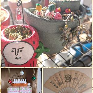 暴れ多肉,毎月15日はいちごの日,ムーミンの日,ちょこんとﾋﾟｰﾀﾝ,月の雫さん's ﾋﾟｰﾀﾝ♥の画像