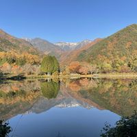 イロハモミジ,宝剣岳◎,駒ヶ根高原 駒が池,お出かけ,今日のお花の画像