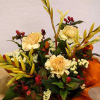 カーネーション,カーネーション,カーネーション,スターチス,スターチスの画像