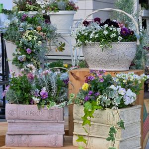 寄せ植え,ギャザリング,カルナックの画像