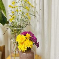 ウインターコスモス,ダビンチマム,石川県,チーム石川,reikanz バラの画像