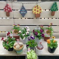 花のある暮らし,多肉のある暮らしの画像