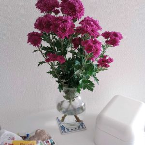 観葉植物,切り花,一輪挿し,可愛い,花瓶の画像