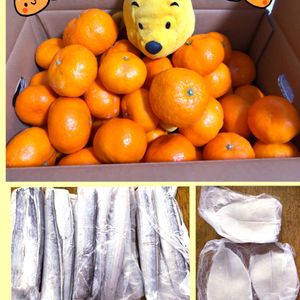 ミカン,プーさん,My diary☆,チーム☆YOKOHAMA☆,日曜ビタミンカラー♪の画像