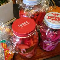 ラディッシュ,レディーサラダの画像