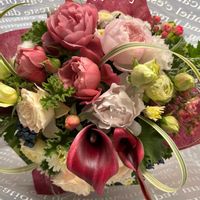 カラー,マトリカリア,ローズゼラニウム,ローズゼラニウム,バラ あおいの画像