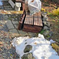 鉢植え,リビング,小さな庭,玄関の画像