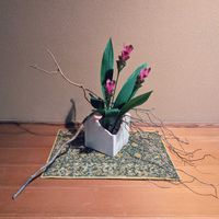 クルクマ,ウンリュウヤナギ,いけばな,その他部屋の画像