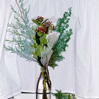 ヒペリカム,ブルーアイス,シルバーブルニア,プロテア,リューカデンドロンの画像