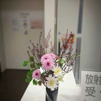 アセビ,キク,キク,キク,キクの画像