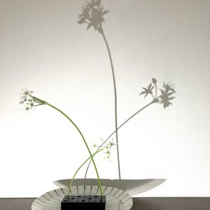 一輪挿し,花瓶,花器,山野草,野草の画像