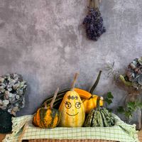 かぼちゃ,かぼちゃ,オモチャカボチャ,オモチャカボチャ,職場にての画像