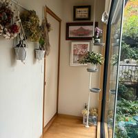 ホヤ・カルノーサ,ユーフォルビア マハラジャ,サクララン,マイクロ胡蝶蘭,マイクロ胡蝶蘭の画像