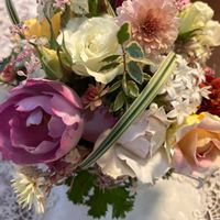 キク,シルバープリペット,シルバープリペット,ネメシア,ペンタスの画像