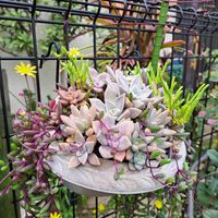 フェンスの画像