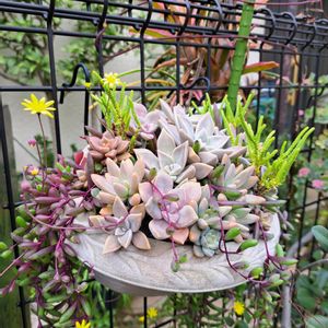 フェンスの画像