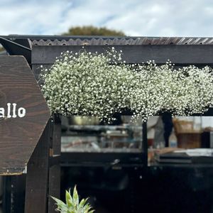 かすみそう,ドライフラワー,アンティーク雑貨,2025東京蚤の市秋の画像