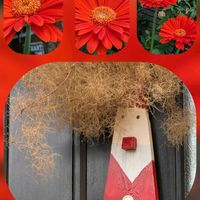 ガーベラ,スモークツリー,バラ,かな…,御所の紅葉…信号待ちでの画像