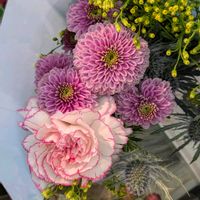 アスター,カーネーション,キク,レインリリー,レインリリーの画像