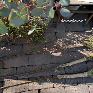 コキア,ミセバヤ,グリーンアイス,ほうき,ハンドメイドの画像