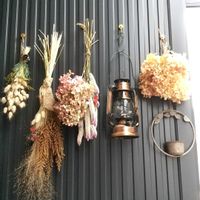 ケイトウ,千日紅,アナベル,ラグラス,ノリウツギの画像