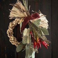 ラグラス,ユーカリポポラス,トウガラシの画像