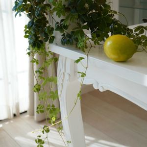 シュガーバイン,レモン,レモンの実,観葉植物,つる性植物の画像