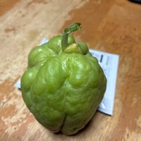 ハヤトウリの画像