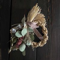 ユーカリポポラス,グラスジェムコーン、虹色コーン、カラフルコーン,ユーカリ・ブルーマリー(テトラゴナ)の画像