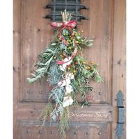 オリーブ,ワタ,ユーカリ,ローズヒップ,エリンジュームの画像