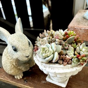 可愛い,たにく,長く楽しめる,ちまちま寄せ,小さな幸せ♡の画像