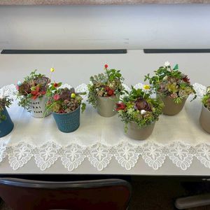 ワークショップ ,記念に,ちょこっと報告❗️の画像