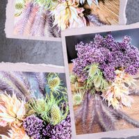 セルリア,フジバカマ,エリンジューム,パープルファウンテングラス,ドライフラワーの画像