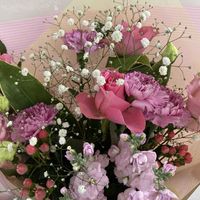 カーネーション,カスミソウ,ストック,トルコキキョウ,ヒペリカムの画像