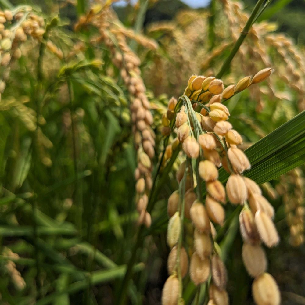 ♬ちぃさんの戸塚区への投稿