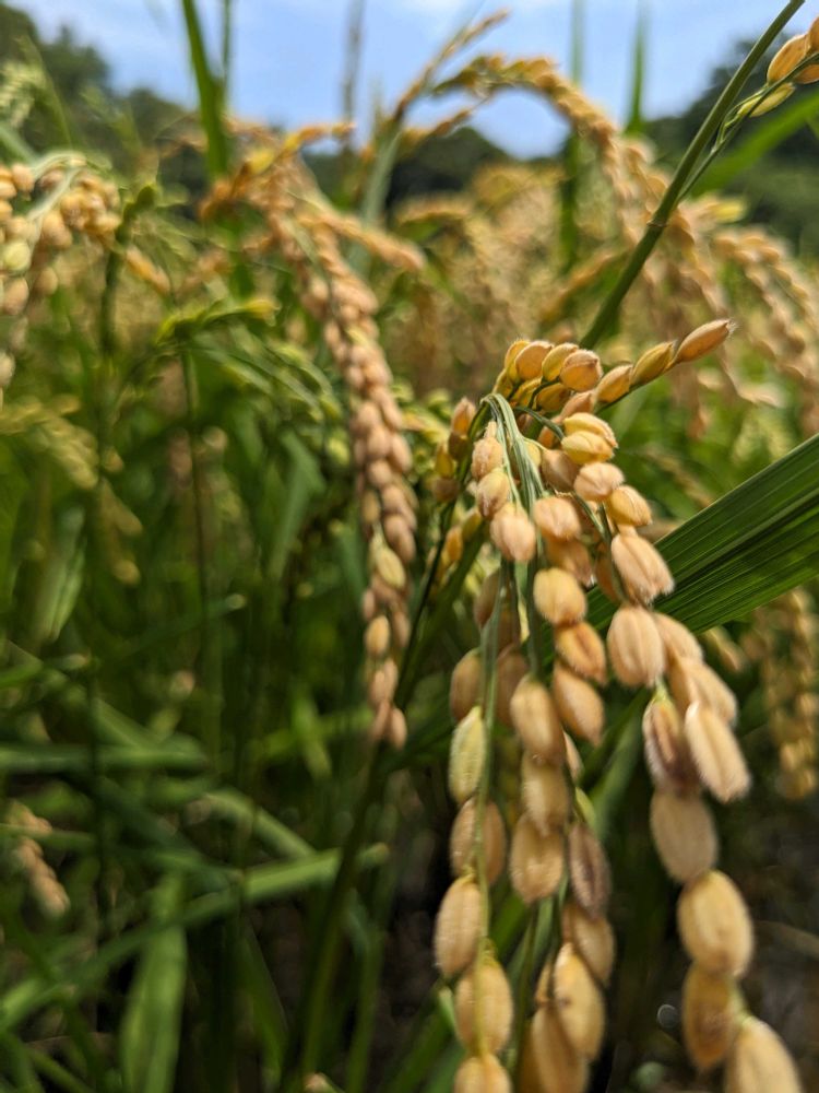 ♬ちぃさんの戸塚区への投稿