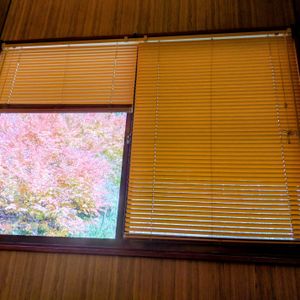 紅葉,癒しのひと時,おうち園芸,寝室の画像