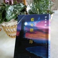 シクラメン,ツワブキ,ローダンセマム,イチョウ,ドングリの実の画像