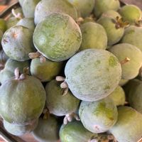 フェイジョアの画像