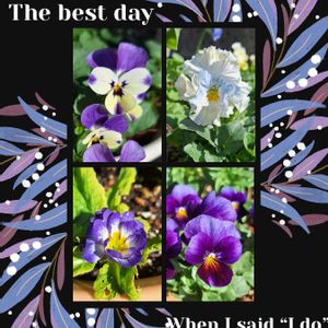 植木鉢,サントリー フラワーズ,青い花マニア,パンビオ,チーム・ブルーの画像