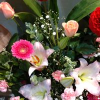 鉢植え,ガーデニング,花束,散策,お祝い花の画像