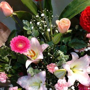 鉢植え,ガーデニング,花束,散策,お祝い花の画像