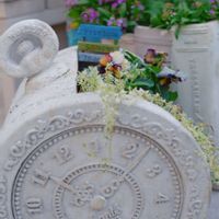 アリッサム,タイム,パンジー ローブドゥアントワネット,ヌーヴェル・ヴァーグ,タイム　ホイップクリームの画像