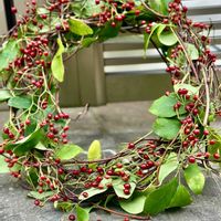 アケビ,ノイバラ,ノイバラ,ノイバラの実,アケビの花の画像