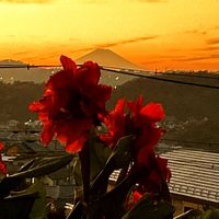 カンナ,富士山,夕焼け,被災地にエールを…。,24日は夕焼けの日の画像