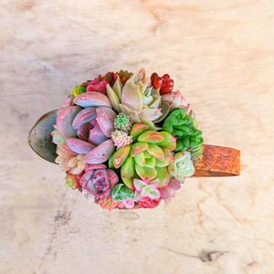 チマチマ,ちまちま,ミニチュア,寄せ,可愛い♥️の画像