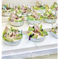 多肉植物 寄せ植え,多肉植物 寄せ植え,箱庭,箱庭 多肉植物,ミニチュアガーデンの画像